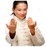 Houston Wing Tsun Kung Fu - Martial Arts in Houston