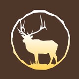Wapiti Exploration LLC - Well Drilling in Houston