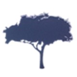 Just Trees - Tree Services in Dallas