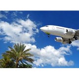Travel by Trina - Travel Agents in Houston