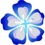 Lewis Aaron N DDS - Dentists in Flower Mound