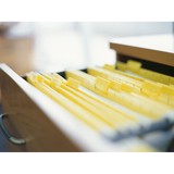 Duces Tecum Inc - Process Servers in Houston