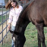 Horses, Heart & Soul, LLC - Other in Pilot Point