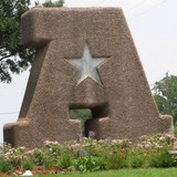 Disabled Veterans Landscaping - Landscaping in Humble