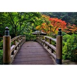 Friendswood Counseling Center, LLC - Counseling & Mental Health in Friendswood