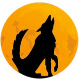 Howl At the Moon - Bars in Houston