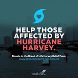 Bread of Life Inc - Religious Organizations in Houston