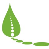Village Chiropractic - Chiropractors in Spring