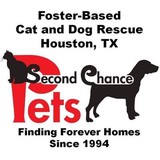 Second Chance Pets - Pet Stores in Houston