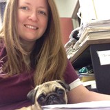 Henderson Lowell DVM - Veterinarians/Vets in Houston