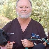 Watkins Vision International, - Ophthalmologists in Houston