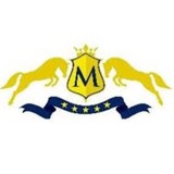 Merit Academy - Academy in Dallas