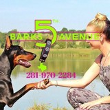 Barks 5th Avenue - Animal Boarding/Pet Boarding in Houston