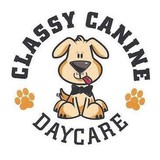 Classy Canine Daycare Inc - Animal Boarding/Pet Boarding in Dallas