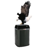 Absolute American Air Conditioning and Heating - Heating & Air Conditioning / HVAC in Bellaire