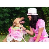 Grand Paws Pet Sitter - Pet Services in Dallas