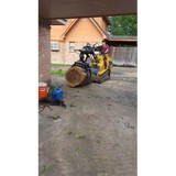 C&L Landscaping and Tree Services - Tree Services in Houston