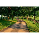 El Camino Counseling - Social Services in Houston