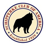 Schipperke Club Of America Rescue And Health Foundation - Other in Little Elm