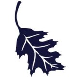 Embossed Graphics of Texas - Graphic Design in Houston