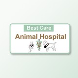 Best Care Animal Hospital - Veterinarians/Vets in Houston