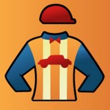 Auto Jockey - Car Accessories in Dallas