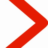 Cargo Link Express - Couriers & Delivery Services in Houston