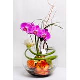 Lexis Event Planning - Florists in Houston