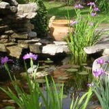 Magnolia House - Bed & Breakfast in Fredericksburg