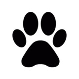 Kaaws Clinic Pllc - Veterinarians/Vets in Houston