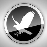 Falcontail Web Design - Web Design & Development in Texas City