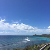 Muuzii Inc - Software Development in League City