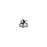 Iyengar Yoga Center Of Houston LLC - Yoga in Houston