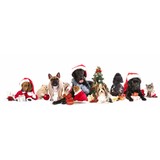 Heights Veterinary Clinic Pc - Veterinarians/Vets in Houston
