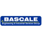 Bascale Co Inc - Web Design & Development in Cypress