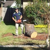 AJ's Tree Care - Tree Services in League City