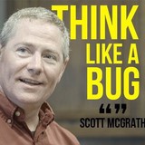 Mc Grath Pest Control - Pest Control in Houston