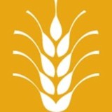 Whole Wheat Creative Inc - Graphic Design in Houston