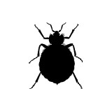 Ezb Pest Control Inc - Pest Control in Houston