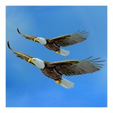 Memorial Private School - Private Tutors in Houston