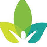 Therapy Consultants - Business Consulting in El Paso