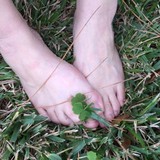 Shanti Tree Yoga - Yoga in Houston