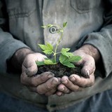 Cherokee Landscape LLC - Landscaping in Longview