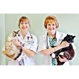 Richardson Katherine DVM - Veterinarians/Vets in Houston