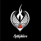 Spitphire - Mail Order in Houston