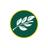 Shannon Pope Cpa Pllc - Accountants in Houston