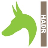 Houston Area Doberman Rescue - Social Services in Houston