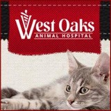 West Oaks Animal Hospital - Veterinarians/Vets in Houston