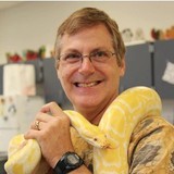 Texas Snakes And More - Party & Event Planning in Houston