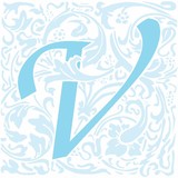 Vedas Medical Spa & Wellness - Medical Centers in Spring